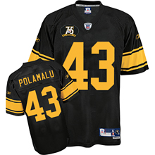youth Pittsburgh Steelers 43 Troy Polamalu black