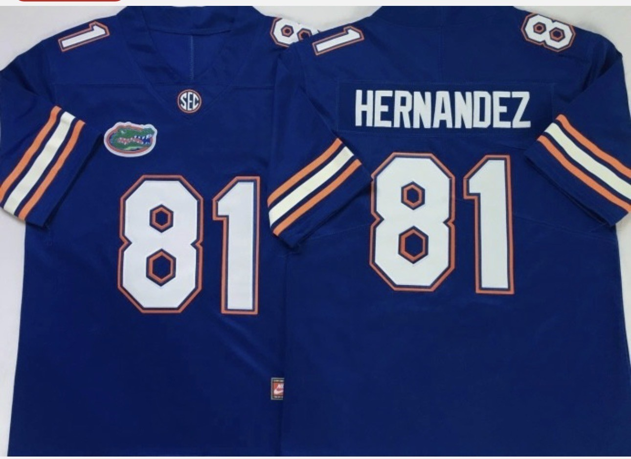 Men's Florida Gators #81 Aaron Hernandez Stitched Jersey Men's Florida Gators #81 Aaron Hernandez Stitched Jersey