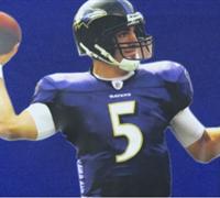 Nike youth Baltimore Ravens #5 Flacco Purple Jerseys Nike youth Baltimore Ravens #5 Flacco Purple Jerseys