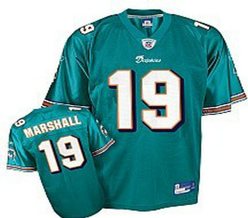Miami Dolphins #19 Brandon Marshall Youth Green Jersey