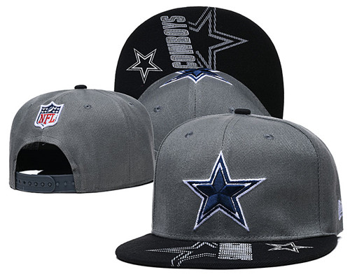 Cowboys Team Logo Gray Adjustable Hat GS Cowboys Team Logo Gray Adjustable Hat GS