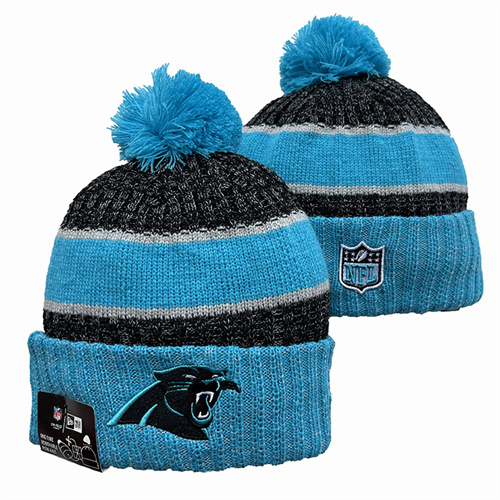 Panthers Team Logo Pom Knit Hat YD-2 Panthers Team Logo Pom Knit Hat YD-2