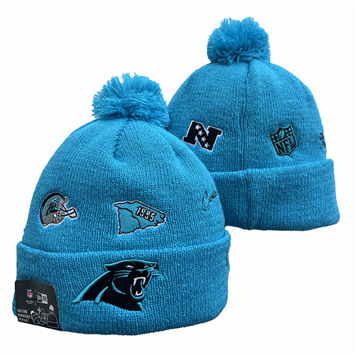 Panthers Team Logo Pom Knit Hat YD Panthers Team Logo Pom Knit Hat YD