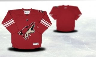 Phoenix Coyotes Youth red Jersey (Blank or Customized) Phoenix Coyotes Youth red Jersey (Blank or Customized)