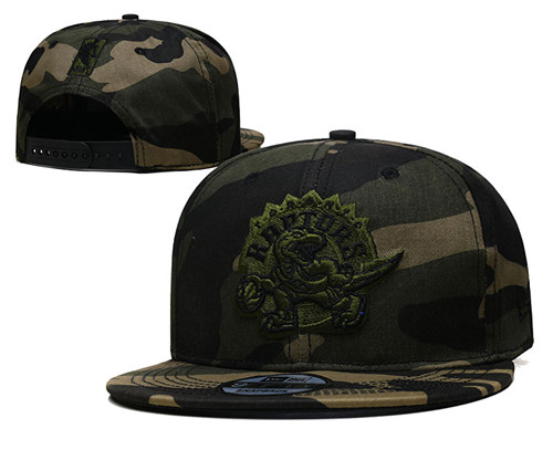 Raptors Snapback Hat--TX Raptors Snapback Hat--TX