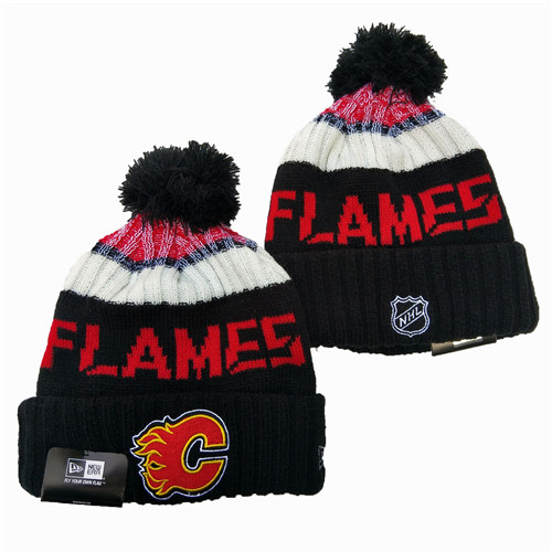 Flames Team Logo Knit Hat YD