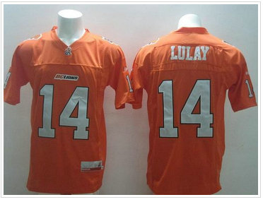 BC Lions #14 Travis Lulay Orange Stitched CFL Jersey