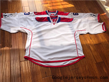 Customized NHL goalie Jerseys(any team any name any number)